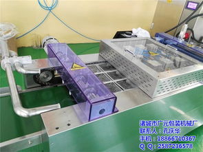 諸城廣元機械 多圖 青花魚拉伸膜自動真空包裝機價格