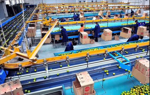 a股 外資重倉高端制造業,行業兩大 核心 賽道爆發 附股