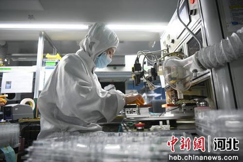 河北廊坊 優化營商生態圈促進電子信息產業高地加速崛起